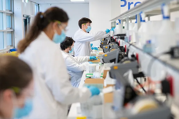laboratory staff testing STI samples